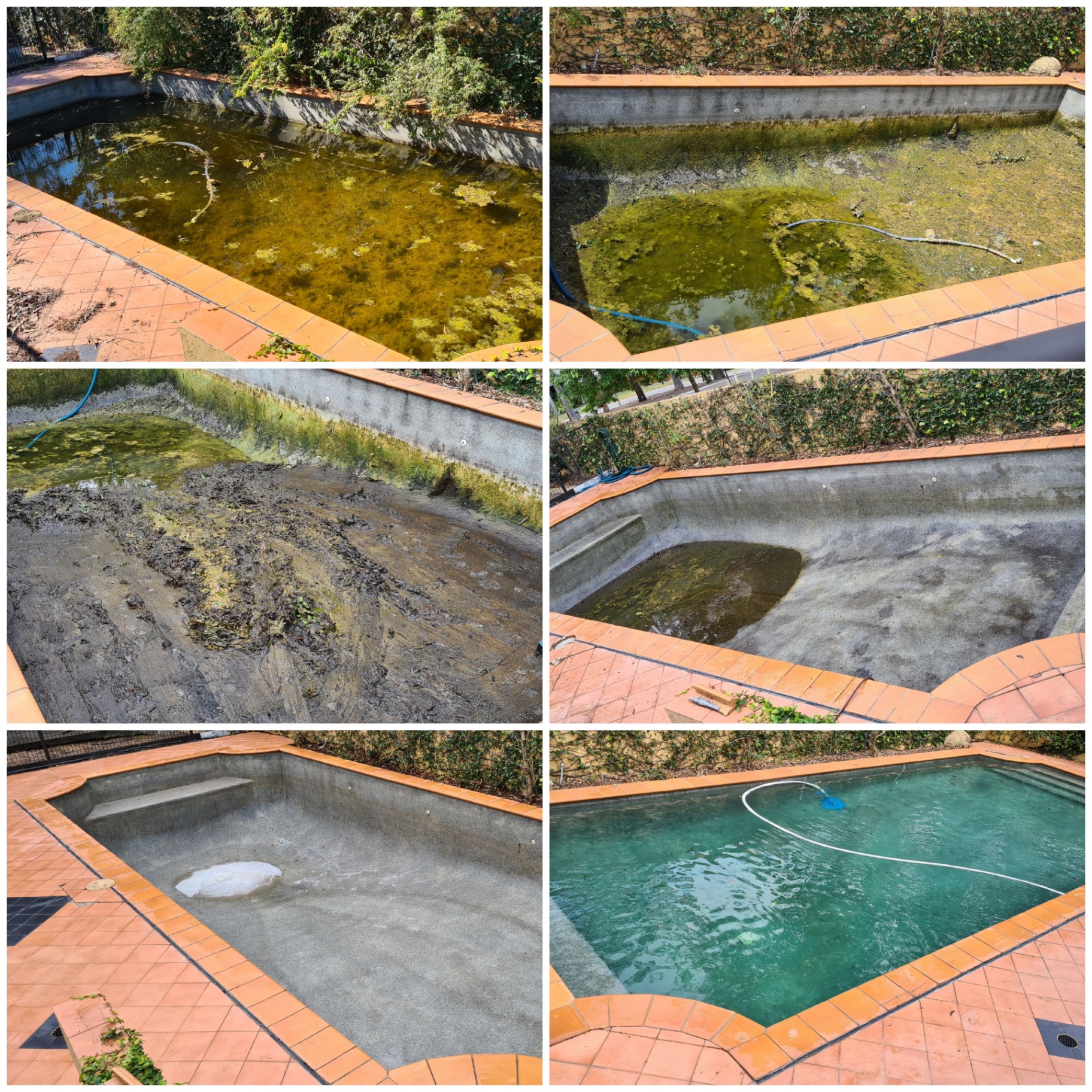 Green pool in Brisbane's south-west drained, scrubbed and refilled by Pool Fast Services & Repair